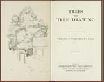 drwaing trees